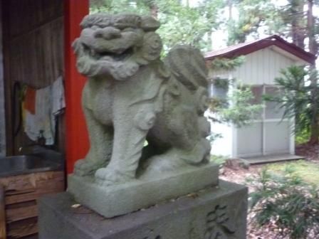 イメージ 7