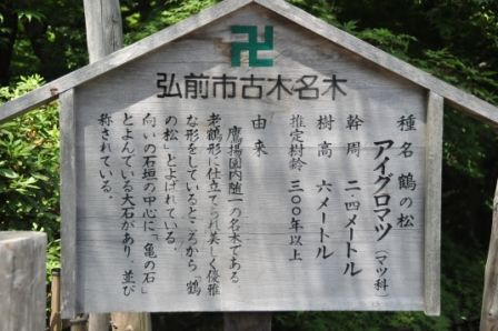 イメージ 16