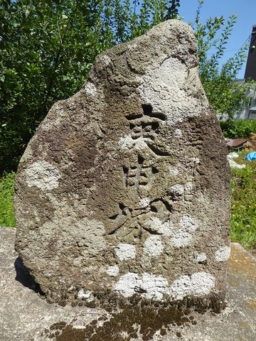 46