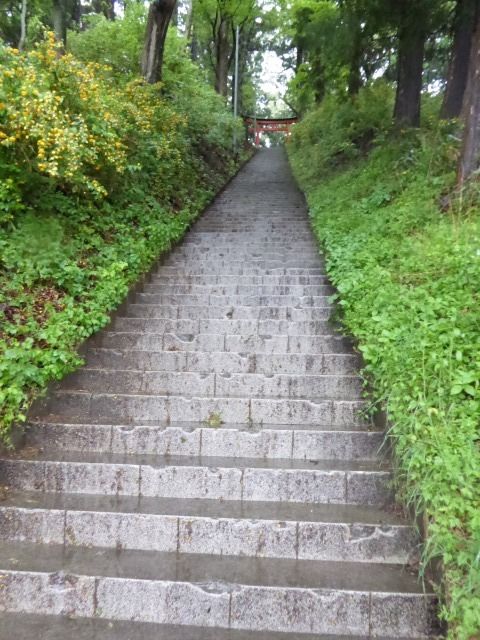 イメージ 7