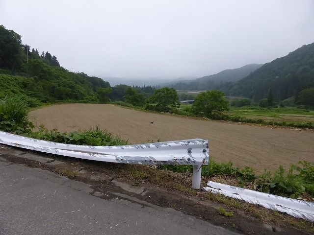 イメージ 5