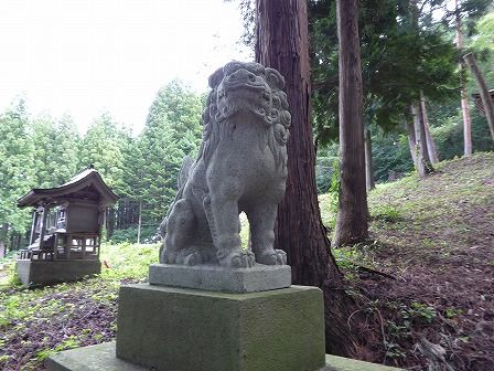 イメージ 5