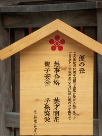 イメージ 20