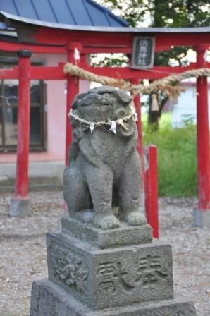 イメージ 15