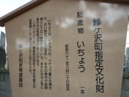 イメージ 5