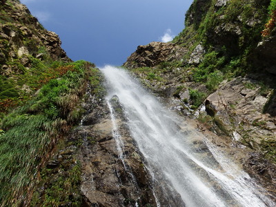 DSCF4447