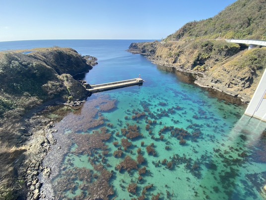 43E19819-B51B-446F-8786-B082319A99E2_1_105_c