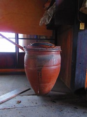 IMG_3911