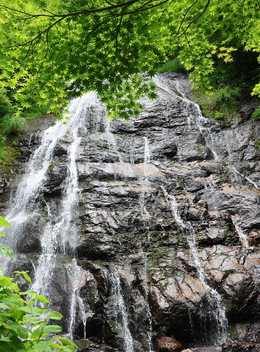 もみじと黒滝-1