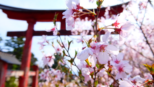 写真 2016-04-06 14 25 28