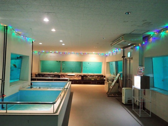 PC156344 (2)