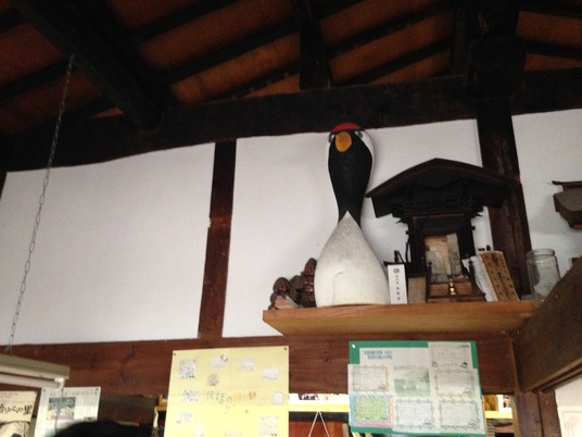 image5