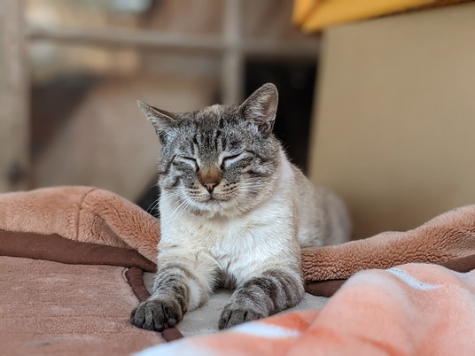 PXL_20210514_043811283.PORTRAIT