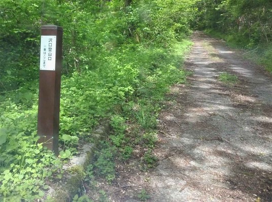 沢口登山口-1