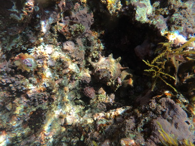DSC00409