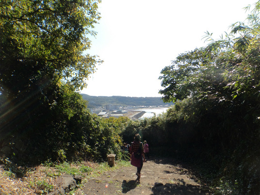 DSC01766