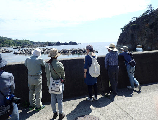 地域おこし協力隊とは