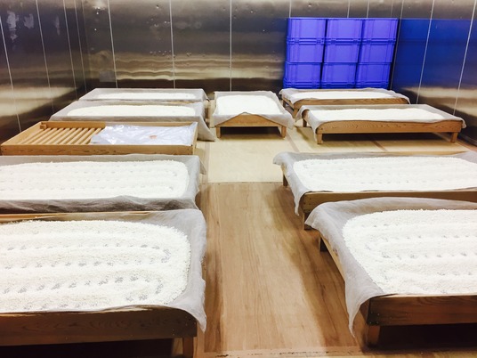 写真 2017-05-25 13 50 14