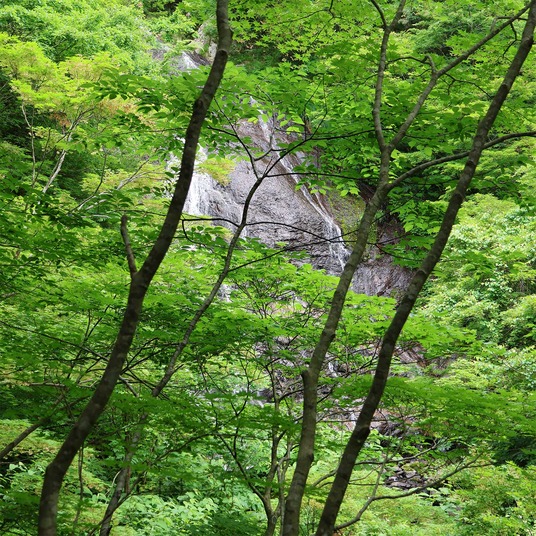 新緑の黒滝-1