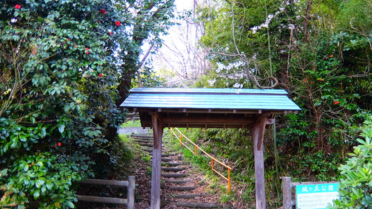 写真 2016-04-06 15 42 03