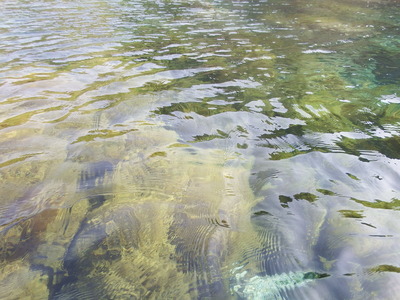 DSCF1445