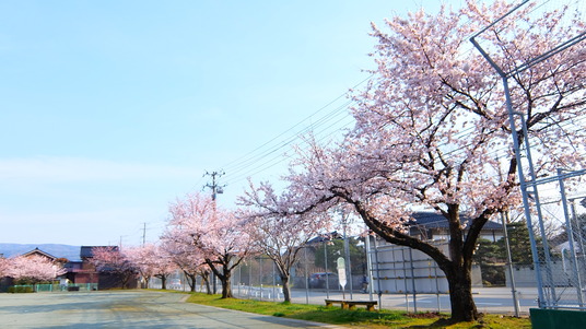 写真 2016-04-06 15 56 27