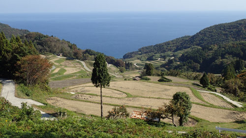 PA262652