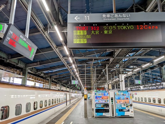 PXL_20221103_235722658_2