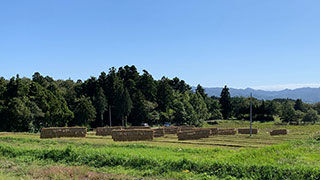 IMG_4333-001