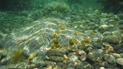 DSCF0166
