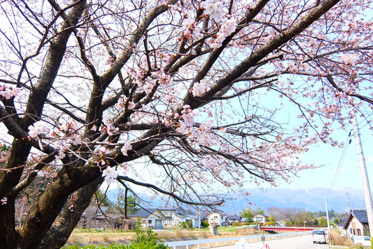 写真 2016-04-06 14 03 46