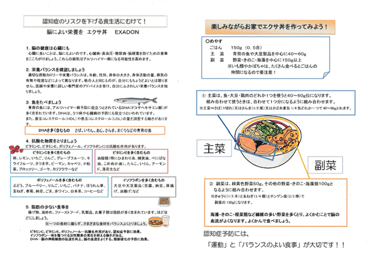 エクサ丼のチラシ