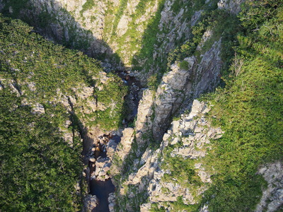 P8090781