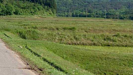 大和田の棚田-1