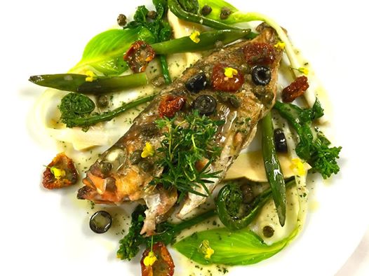 11070281_1602123890027926_1136422351042077093_n