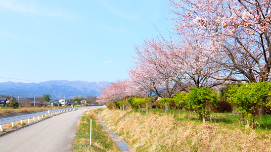 写真 2016-04-06 14 09 08