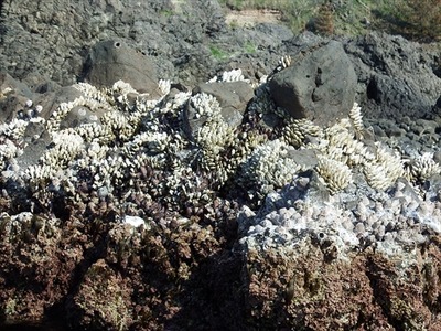 DSCF1329_R