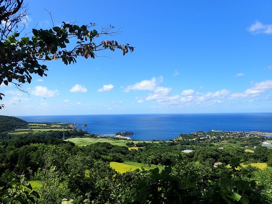 田んぼ全景(小川~達者~姫津)