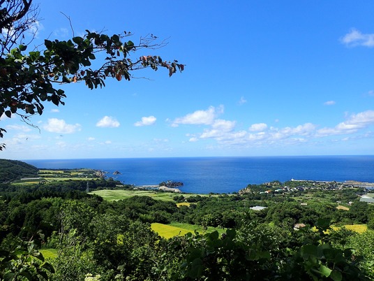 田んぼ全景(小川～達者～姫津)