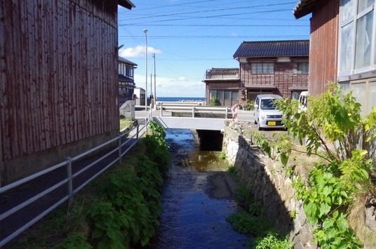 IMGP2649