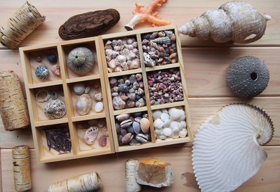 佐渡　ビーチコーミング