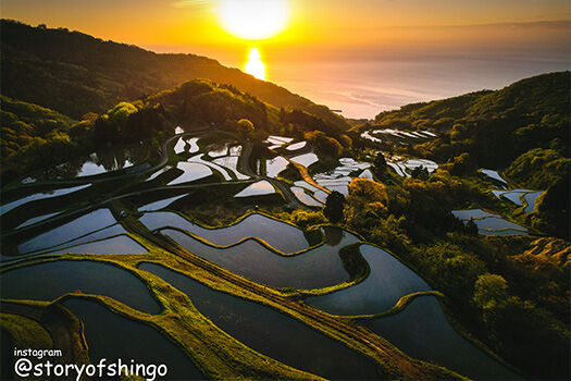 murayama_風景