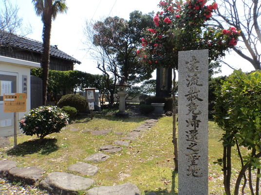 DSC04113