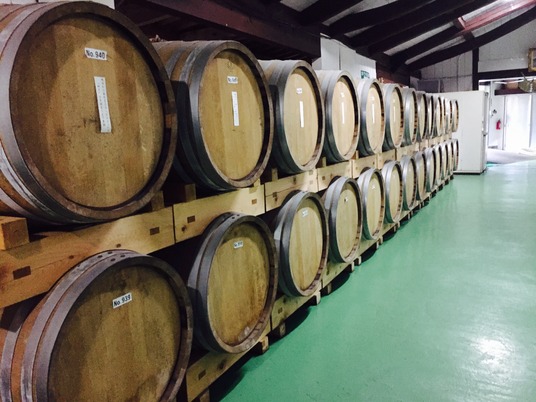 写真 2017-05-25 14 01 38