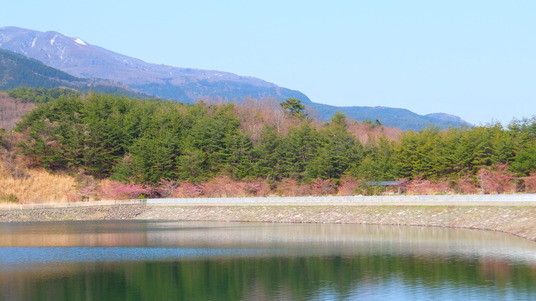 写真 2016-04-06 14 58 50