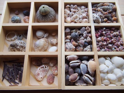 佐渡　ビーチコーミング