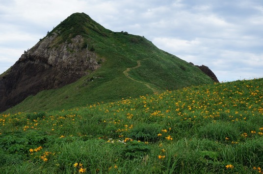 DSC00828