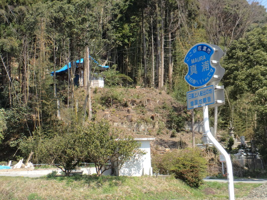 DSC04132