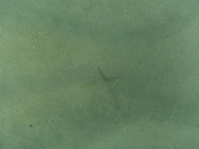 DSC00349