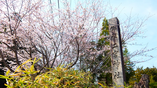 写真 2016-04-06 14 20 00